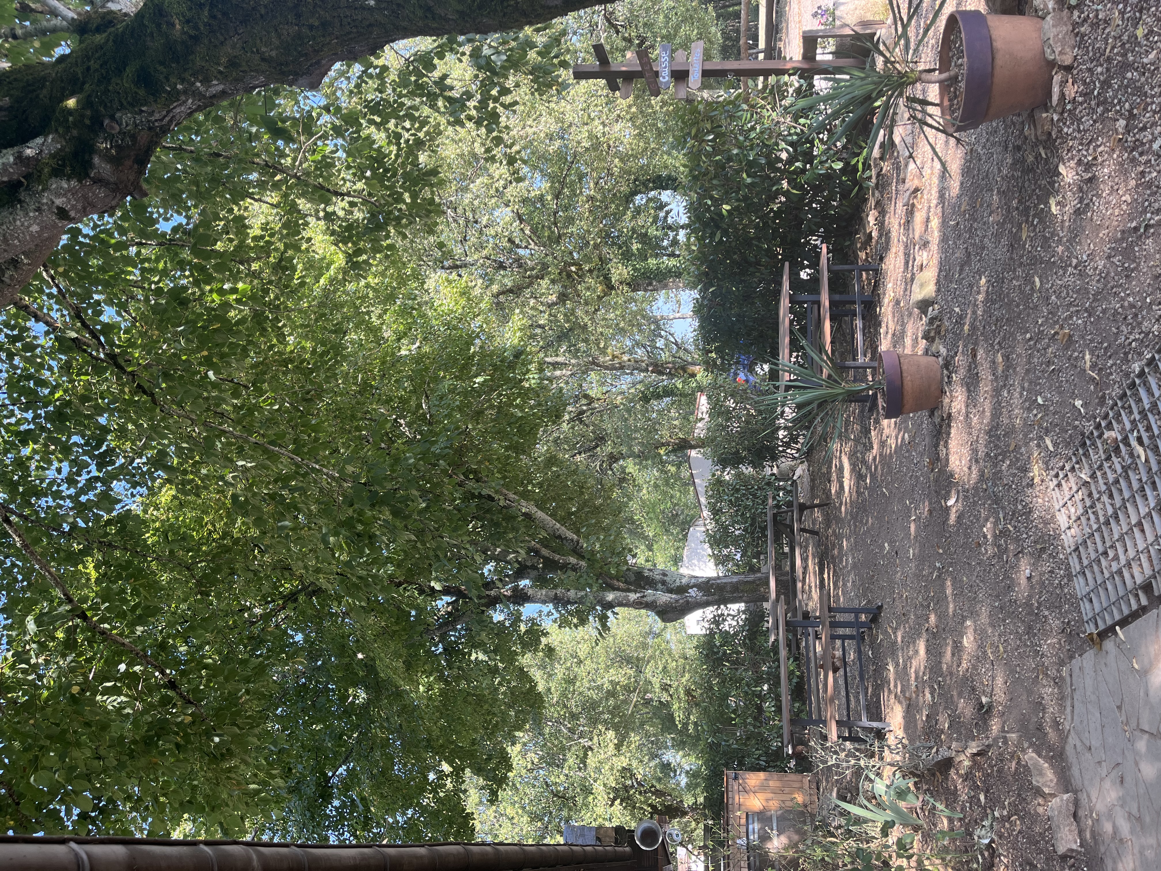 Terrasse de la pizzeria